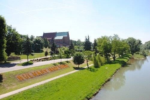 OŚWIĘCIM. Urząd miasta: komary nie znają granic...
