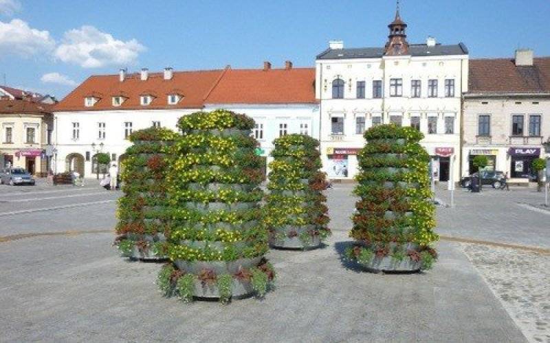 OŚWIĘCIM. Popadające w ruinę kamienice w Starym Mieście do remontu. Mieszkania - na wynajem