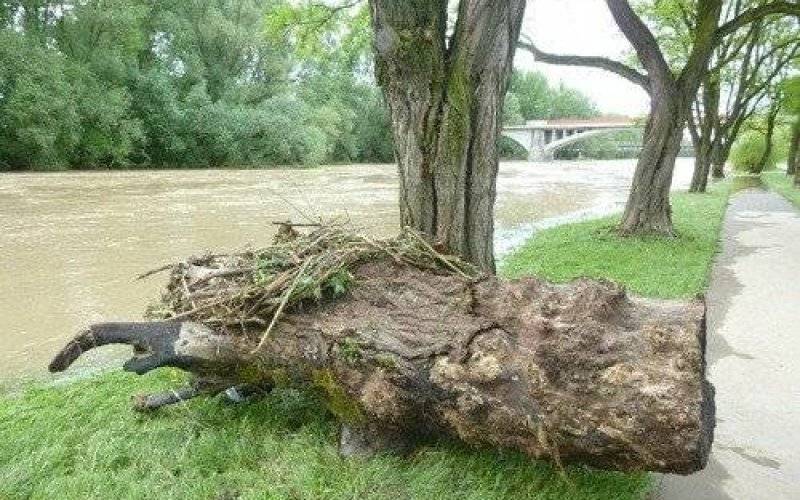OŚWIĘCIM. Spacer po nieco zabłoconych bulwarach - ZDJĘCIA