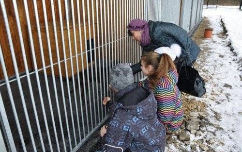 CHEŁMEK. Schronisko dla zwierząt już działa - ZOBACZ ZDJĘCIA