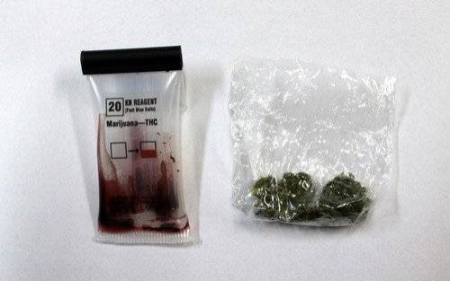 WŁOSIENICA. Dwóch młodych mężczyzn handlowało narkotykami