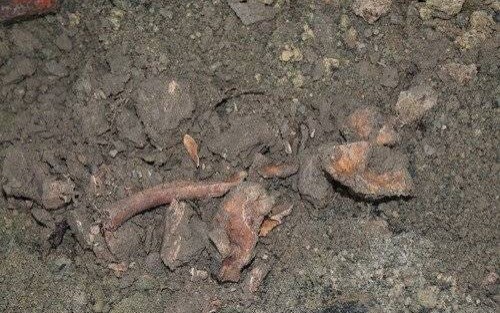 OŚWIĘCIM. Fragmenty szkieletu ludzkiego sprzed 100 lat