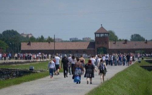MUZEUM AUSCHWITZ. Od dziś były obóz mogą zwiedzać tylko grupy uczestniczące w Światowych Dniach Młodzieży