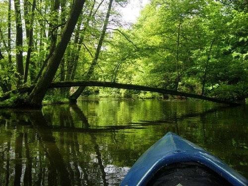 CHEŁMEK. Wyprawa kajakiem na Śląsk