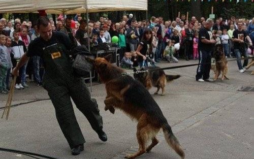 CHEŁMEK. Przyjaciele dla Wojtka – FOTORELACJA