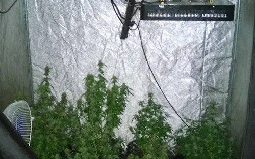 CHEŁMEK. Namiot w domu. A w środku…