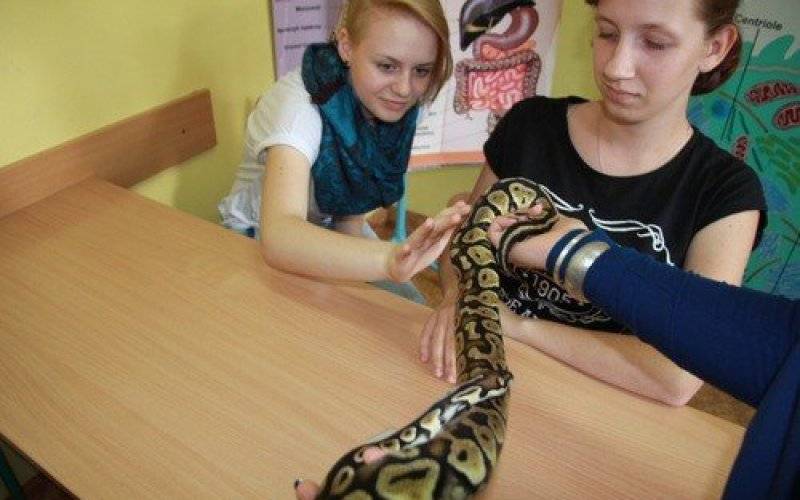 OŚWIĘCIM. Strach ma wielkie oczy, czyli lekcje z udziałem niecodziennych gości