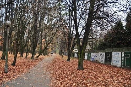 OŚWIĘCIM. Nocą przez park samemu lepiej nie chodzić