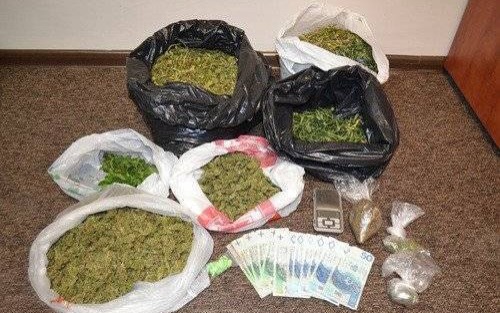 POWIAT. „Plantator” zatrzymany. Wraz z nim pokaźne ilości narkotyków - ZDJĘCIA