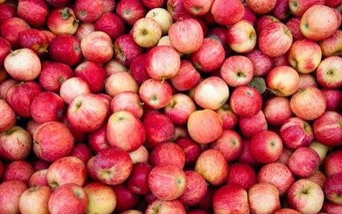 CHEŁMEK. Jabłka za darmo. Taka okazja tylko 15 grudnia