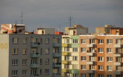 PRAWO. Wolnoć Tomku w nie swoim domku?