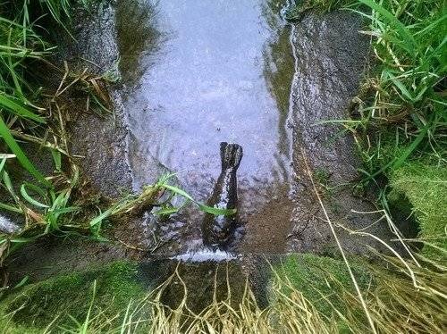 PIOTROWICE. Policjanci pilnują niewypału, który zabiorą saperzy z Krakowa