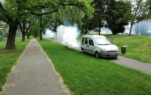 OŚWIĘCIM. Miasto walczy z komarami i meszkami