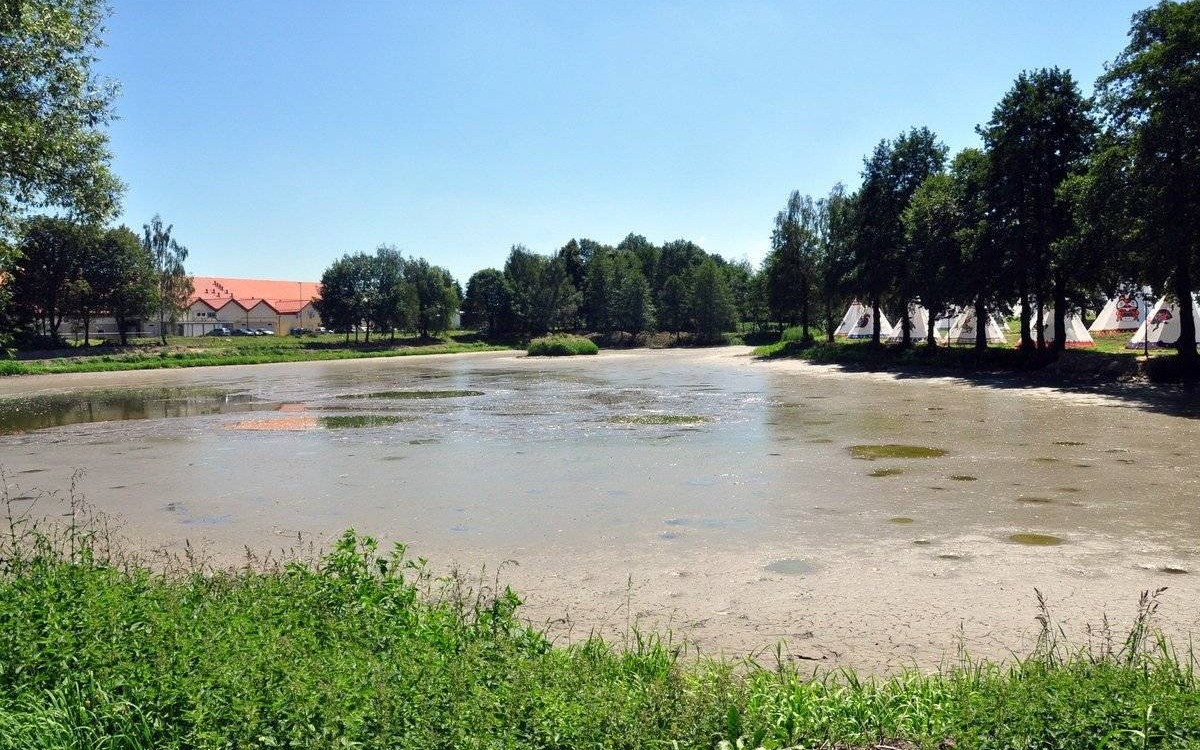 ZATOR. Strażacy ratowali... ryby. Ktoś wypuścił wodę ze stawu!