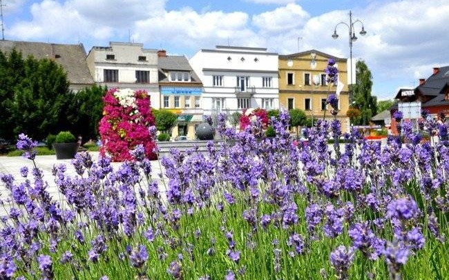KĘTY. Najpiękniej Ukwiecone miasto w Polsce – Zagłosuj na Kęty!