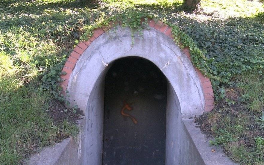 OŚWIĘCIM. Wieści z Ratusza