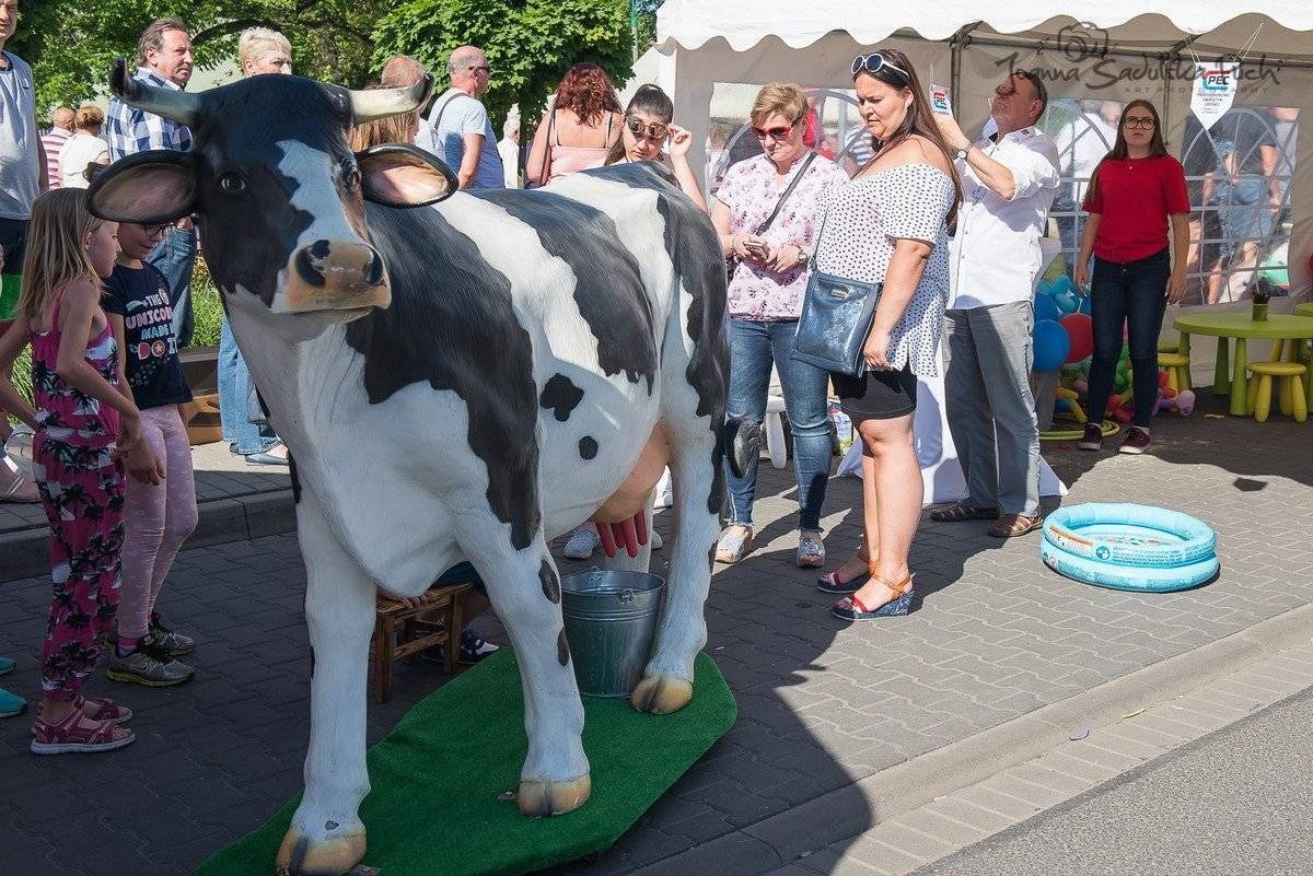OŚWIĘCIM. Tysiące ludzi na Ekomajówce