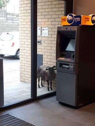 OŚWIĘCIM. Miał dość siana. Zamarzyła mu się czysta pościel