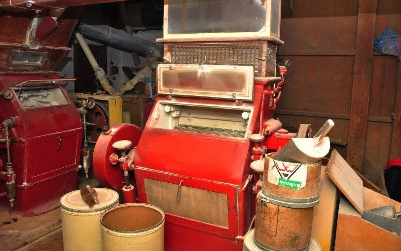 DOLINA KARPIA. Muzeum natury i nietuzinkowych ludzi