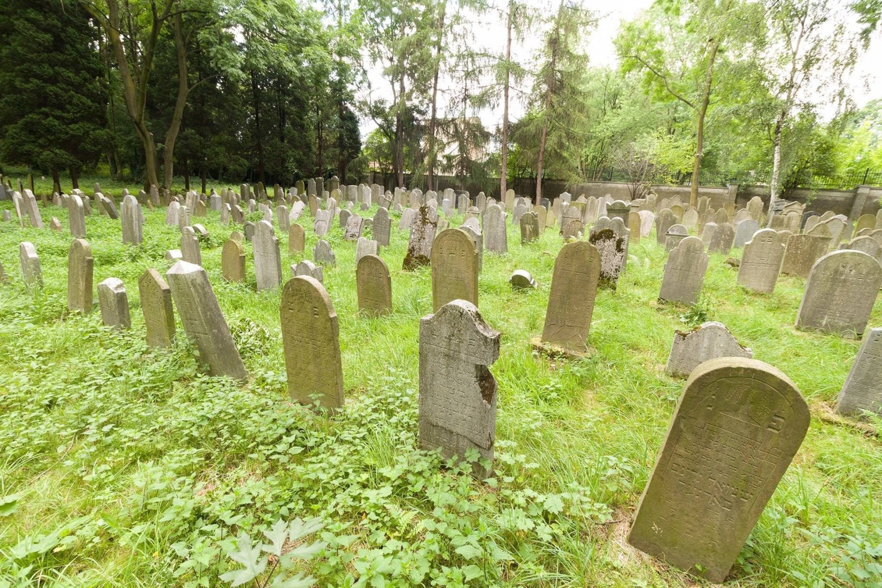 OŚWIĘCIM. Zwiedzanie kirkutu z dr. Jackiem Proszykiem