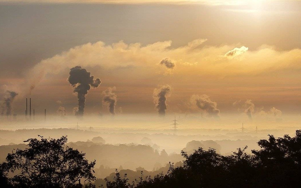 OŚWIĘCIM. Ewa Momot odpowiada na ankietę Polskiego Alarmu Smogowego