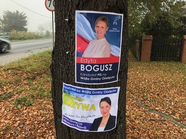 GMINA OŚWIĘCIM. Plakaty kandydatek na urząd wójta na... drzewie. Przybite zszywaczem