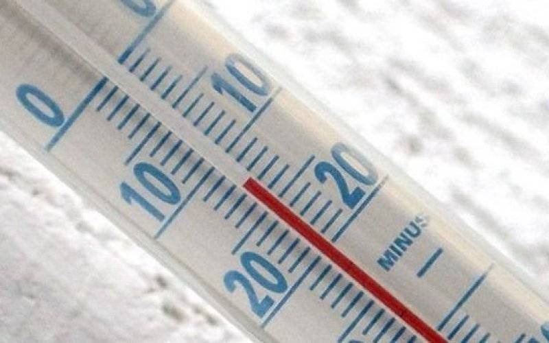 Brzeszcze. Kolejna ofiara mrozu?