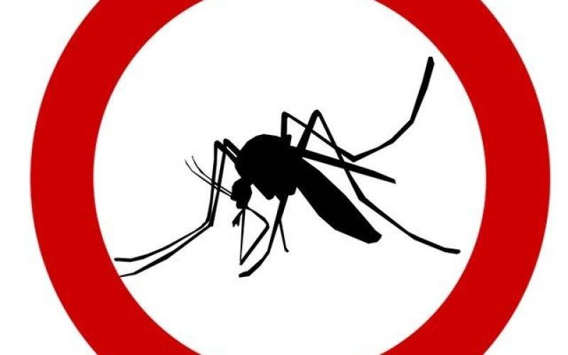 Trwa odkomarzanie gminy - InfoBrzeszcze.pl