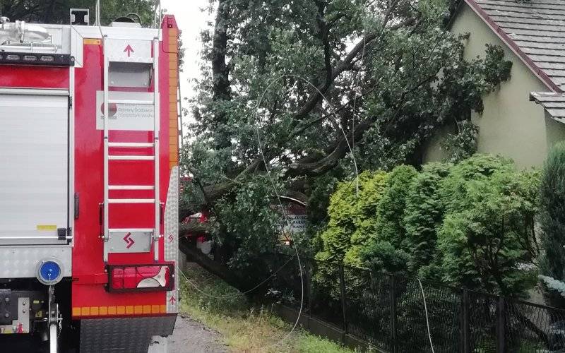 Drzewo runęło na budynek - FOTO - InfoBrzeszcze.pl