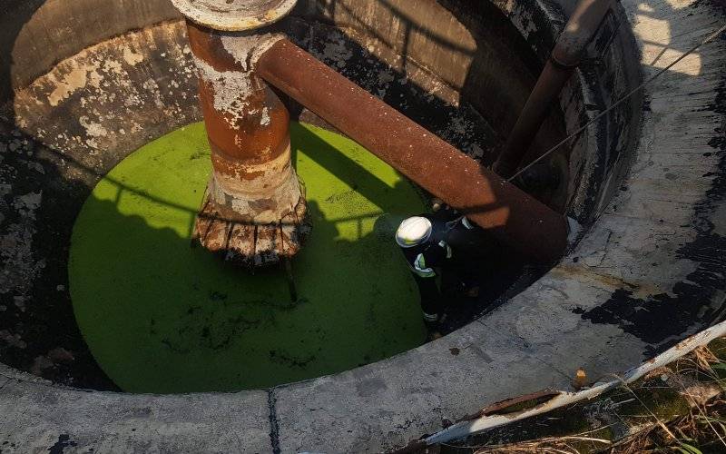 Strażacy uratowali małego kotka - FOTO - InfoBrzeszcze.pl