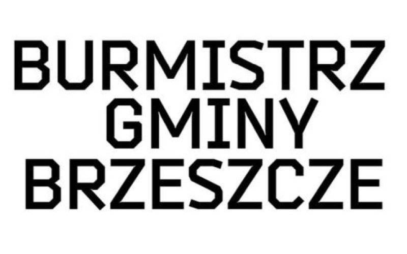 Trzech kandydatów do fotelu Burmistrza? - InfoBrzeszcze.pl