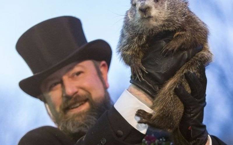 Słynny świstak nie zobaczył swojego cienia... - InfoBrzeszcze.pl