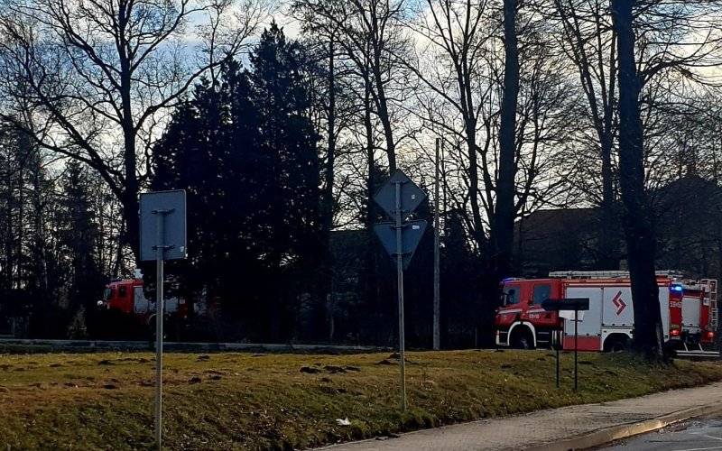 Pożar szałasu w jawiszowickim zagajniku- strażacy ujawnili zwłoki mężczyzny -FOTO- InfoBrzeszcze.pl