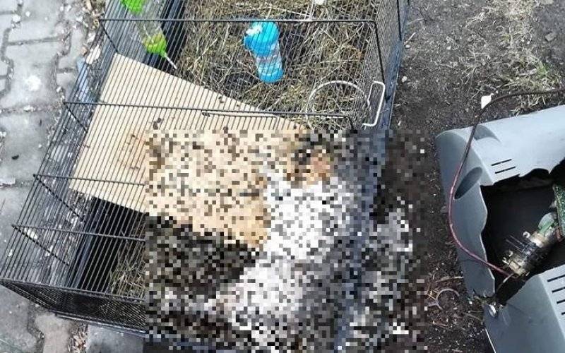 Szokujące znalezisko na śmietniku przy ul. Łokietka - InfoBrzeszcze.pl