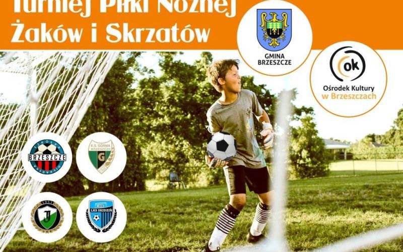 Turniej Piłki Nożnej Żaków i Skrzatów podczas Święta Gminy - InfoBrzeszcze.pl
