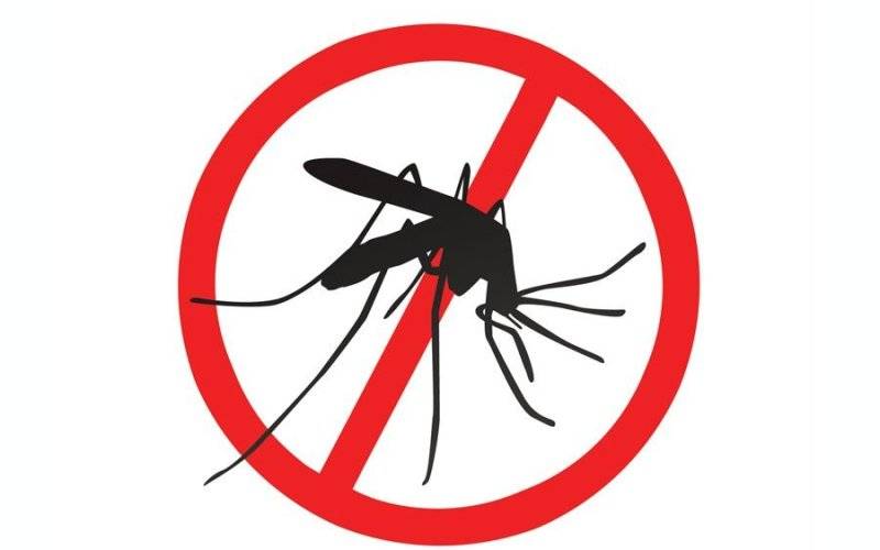 Gmina powalczy z komarami - wkrótce ruszy odkomarzanie - InfoBrzeszcze.pl