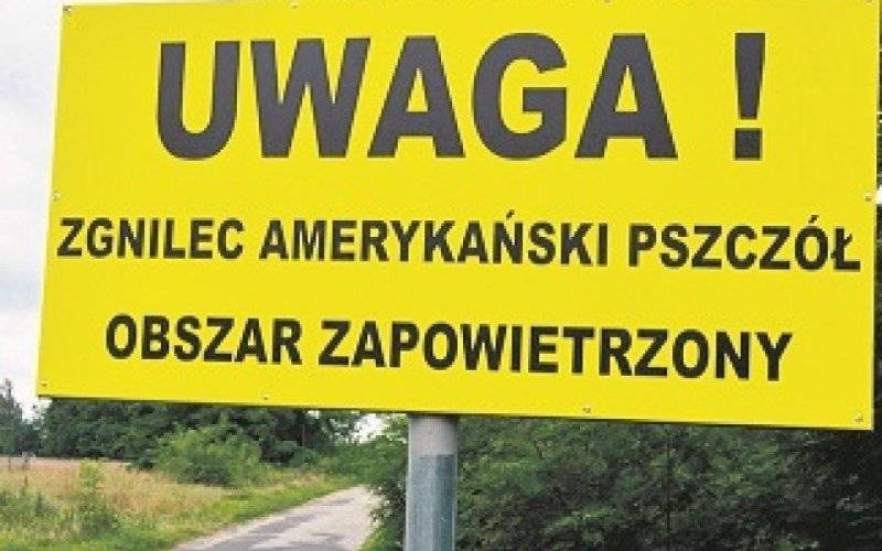 "Uwaga! Zgnilec amerykański pszczół – Obszar zapowietrzony" - InfoBrzeszcze.pl