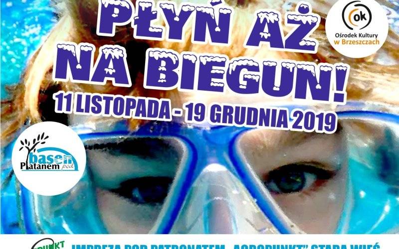 Płyń aż na biegun - InfoBrzeszcze.pl