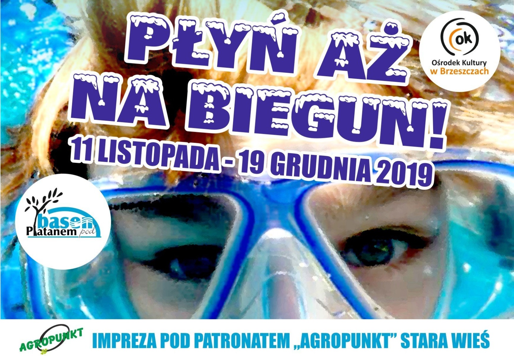 Płyń aż na biegun - InfoBrzeszcze.pl