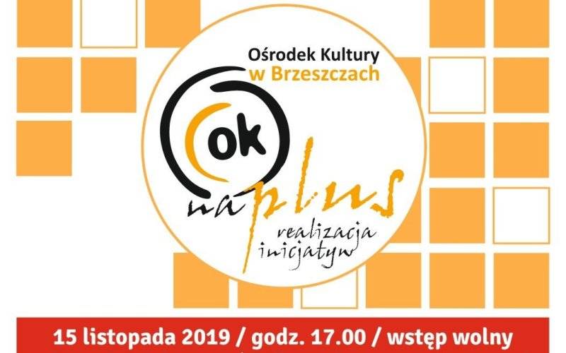 Podsumowanie projektu OK na Plus - realizacja inicjatyw - InfoBrzeszcze.pl