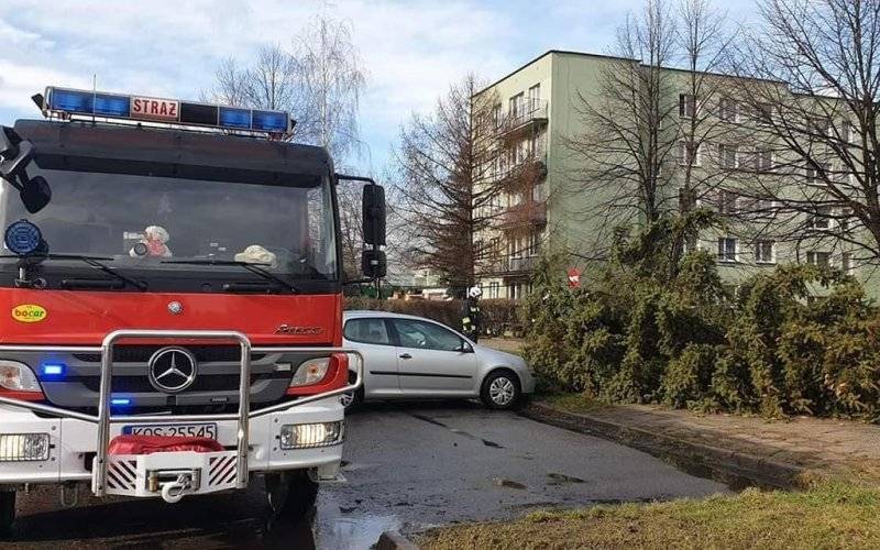 Strażacy OSP interweniowali w związku z usuwaniem skutków silnego wiatru - ZDJĘCIA! - InfoBrzeszcze.pl