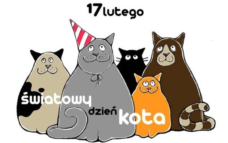 17 lutego - Światowy Dzień Kota - InfoBrzeszcze.pl