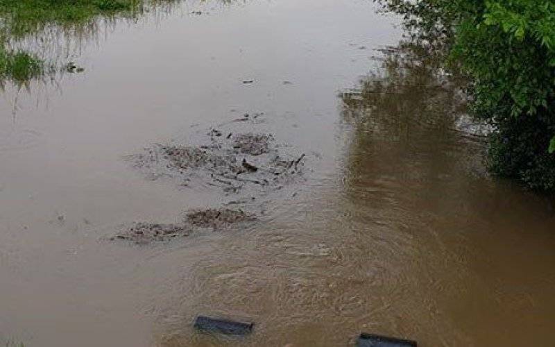 Wzrost poziomu wody na rzece Wisła - InfoBrzeszcze.pl