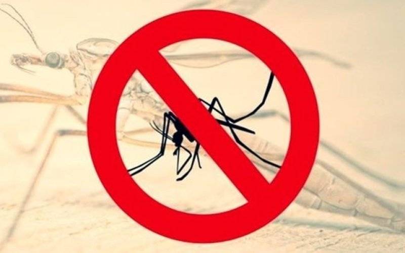 Trwa akcja odkomarzania - InfoBrzeszcze.pl