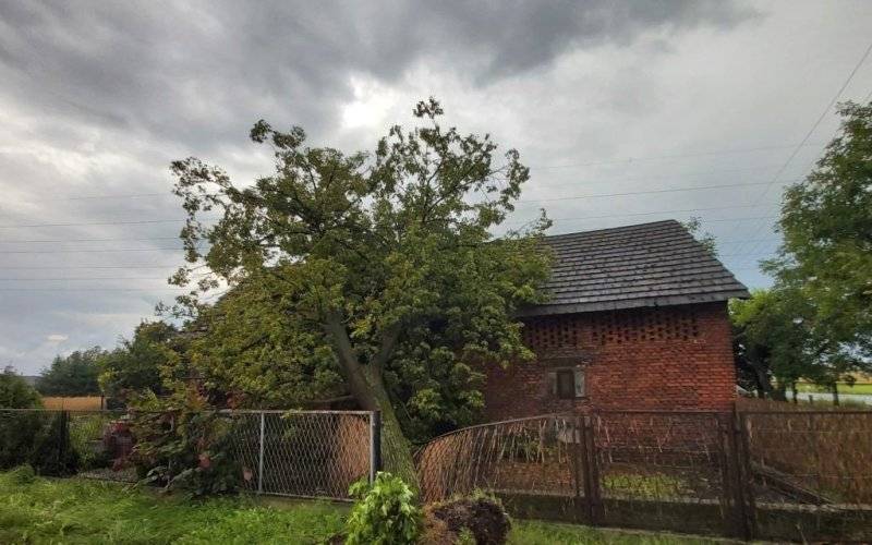 Strażacy usuwają skutki burzy, która przeszła przez gminę - InfoBrzeszcze.pl