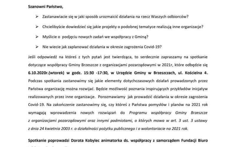 Spotkanie dla organizacji pozarządowych - InfoBrzeszcze.pl