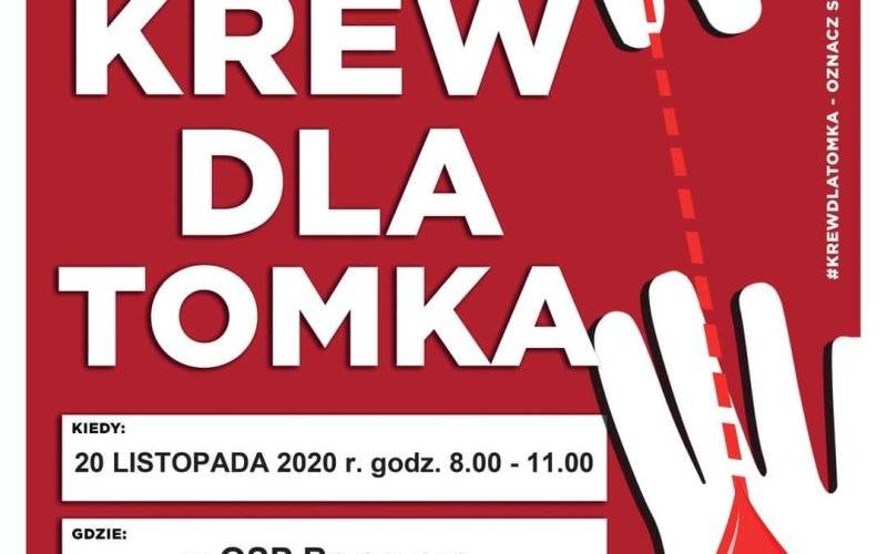 Wielka akcja krwiodawstwa dla Tomka Kożucha - InfoBrzeszcze.pl