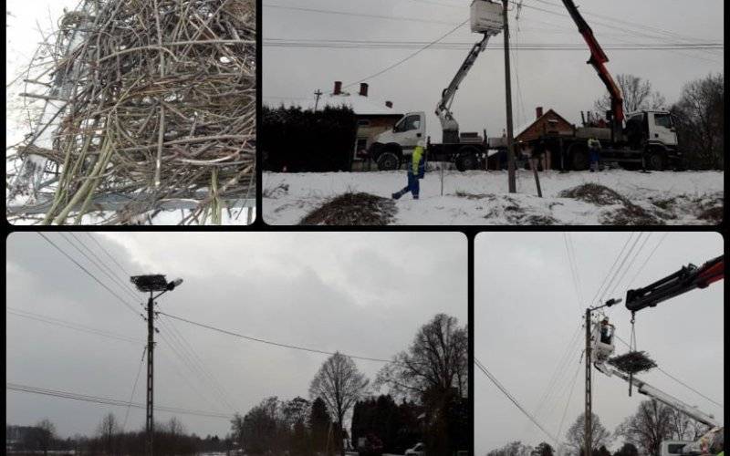 Nowe bocianie gniazdo przy ul. Jaźnik - InfoBrzeszcze.pl