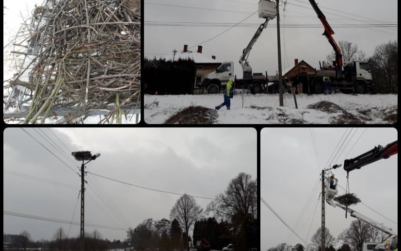 Nowe bocianie gniazdo przy ul. Jaźnik - InfoBrzeszcze.pl