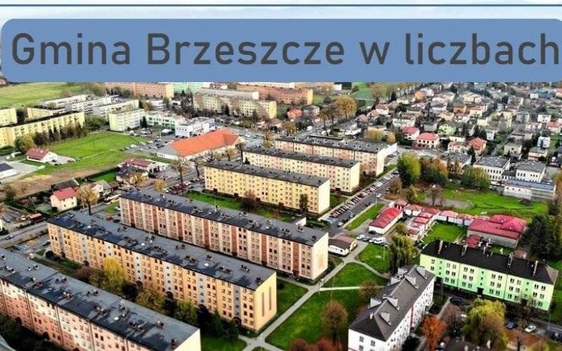 Gmina Brzeszcze w liczbach - InfoBrzeszcze.pl